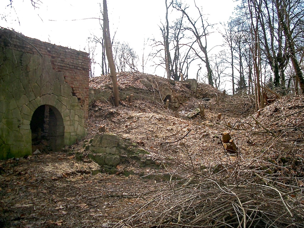 Ruine Villa Jacobs 2005